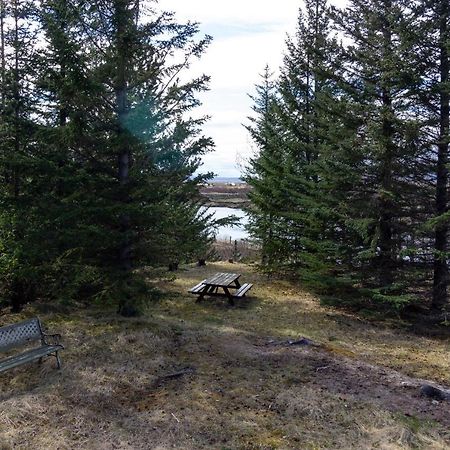 Gorgeous Riverside Lodge In The South Of Iceland Reykholt  Esterno foto